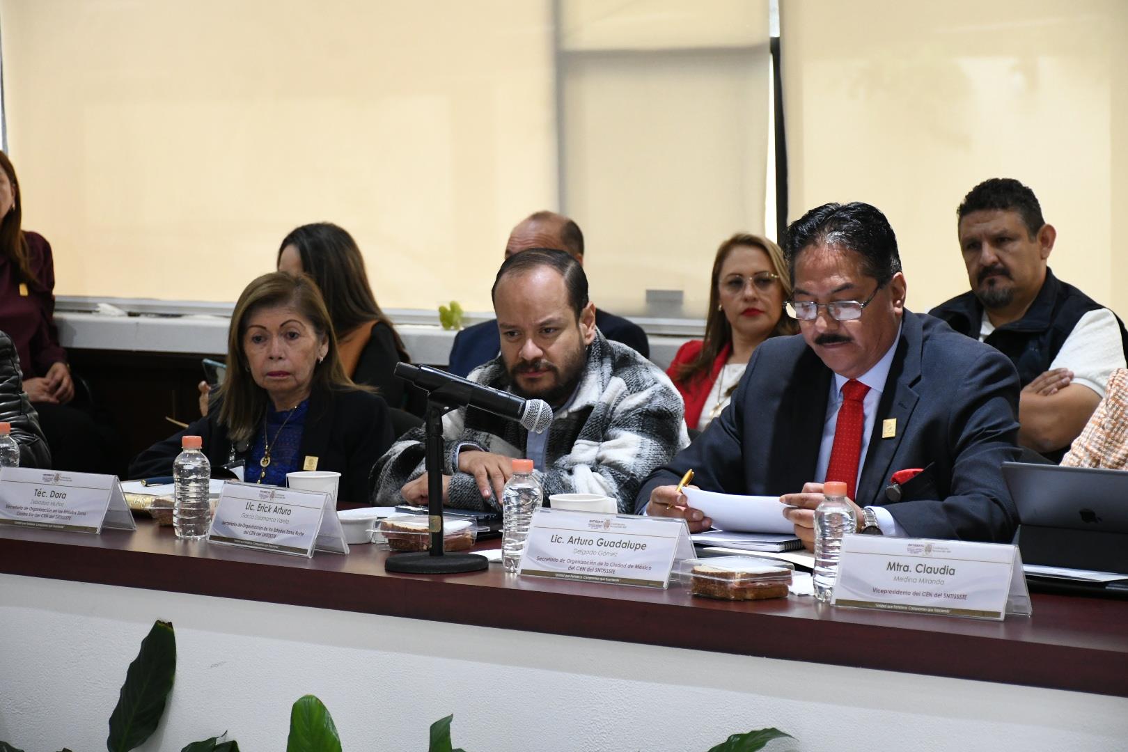Pleno II 